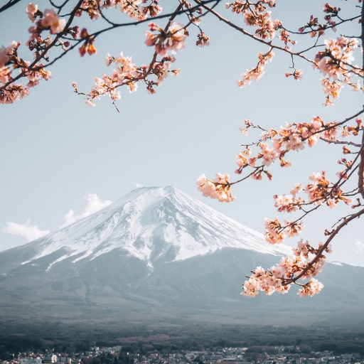 旅遊觀光